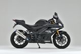 LON PÔ YAMAHA YZF-R3 OVER RACING TT FORMULA RS+PRO (300mm)