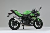 LON PÔ KAWASAKI NINJA 250 OVER RACING TT FORMULA (350mm)