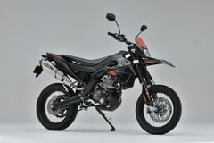  LON PÔ APRILIA SX125 OVER RACING TT FORMULA RS (350mm) 