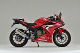 CBR400R OVER RACING TT FORMULA RS (350mm)