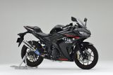 KIT PÔ YAMAHA YZF-R25 OVER RACING TT FORMULA (300mm)