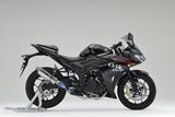 KIT PÔ YAMAHA YZF-R25 OVER RACING TT FORMULA (300mm)