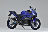 KIT PÔ YAMAHA YZF-R25 OVER RACING TT FORMULA RS (350mm)