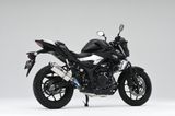 KIT PÔ YAMAHA MT-25 OVER RACING TT FORMULA (300mm)