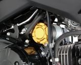 MSX, MONKEY, DAX 125 Ốp đề KITACO