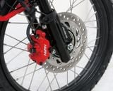 MSX125, CT 125 Heo thắng 2 piston NISSIN x KITACO