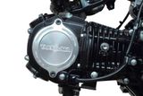DAX, MONKEY, CT, MSX 125 Nắp cam TAKEGAWA