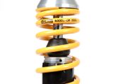 GTS300 Giảm xóc/ phuộc trước Öhlins STX 36 SCOOTER