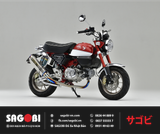 MONKEY 125 Kit pô OVER RACING TT FORMULA RS (350mm)