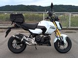 MSX GROM 125 Ốp gầm HONDA