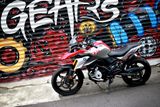 BMW G310 GS GEARS RACING FFC-250-S