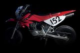 XR50, XR100 Motard Giảm xóc/ phuộc sau NITRON R3