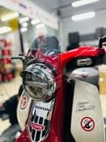 CUB 110 Kính chắn gió TAKEGAWA mini