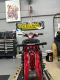 CUB 125 Baga sau ENDURANCE