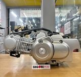 Động cơ HONDA MONKEY 125