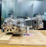 MONKEY 50 Động cơ TAKEGAWA DESMO 4V (124-138cc)