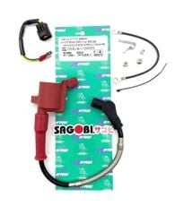  MONKEY 50 Bộ mobin sườn CF POSH EVO (có lọc nhiễu) 