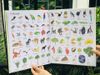 1000 Things In Nature