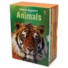 Beginners Boxed Set: Animals