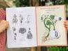 Botanicum Activity Book