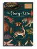 The Story of Life Evolution