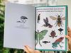 Animalium Activity Book