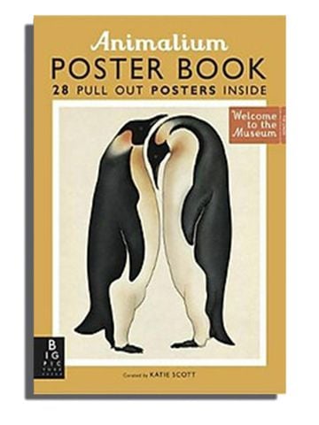 Animalium Poster Book