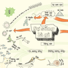 MIND MAPS BIOLOGY - SƠ ĐỒ TƯ DUY SINH HỌC