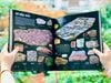 ĐÁ QUÝ & KHOÁNG SẢN - PHIÊN BẢN CẬP NHẬT 2025- CÓ CHỈNH SỬA- PREORDER