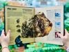 ĐÁ QUÝ & KHOÁNG SẢN - PHIÊN BẢN CẬP NHẬT 2025- CÓ CHỈNH SỬA- PREORDER