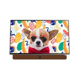  TIVI P6300 | FHD 24” Google TV 
