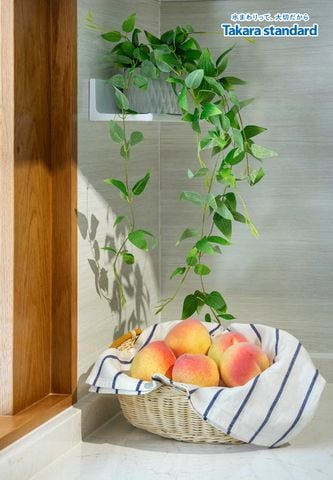 Hệ Tủ Bếp Lemure Chữ L Cao Cấp Màu LCV - Showroom Takara standard