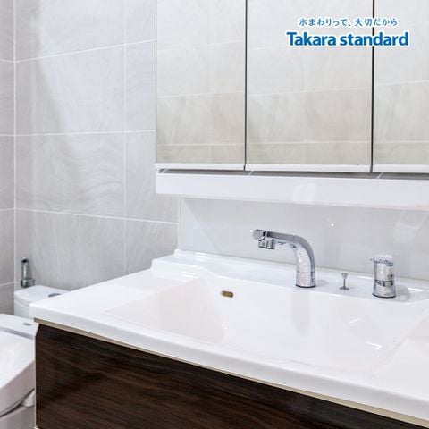 Tủ Gương Lavabo Eleena màu EXB - Nhà Phố Q.Phú Nhuận