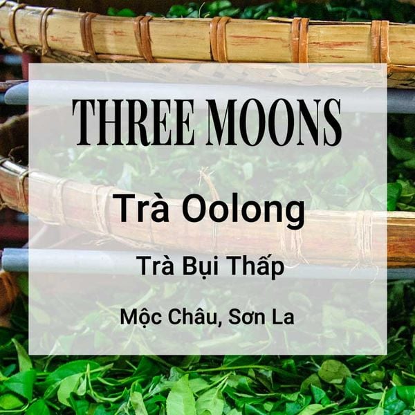 Three Moons Trà Oolong Banner