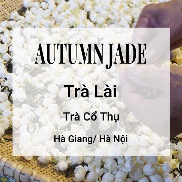 Autumn Jade Trà Lài Banner