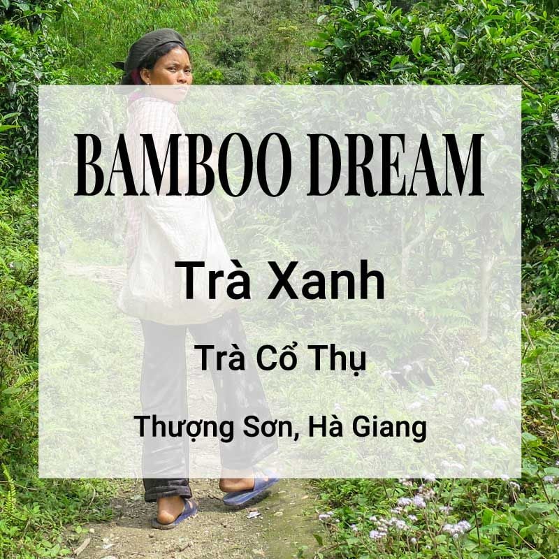  Trà Xanh Bamboo Dream 