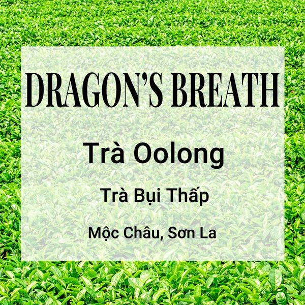 Dragon's Breath Trà Oolong Banner