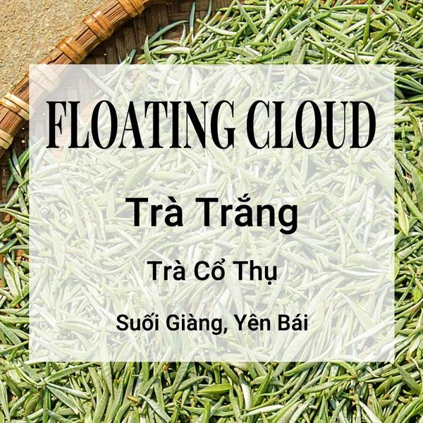 Floating Cloud Trà Trắng Banner