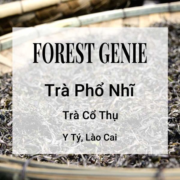 Forest Genie Trà Phổ Nhĩ Banner