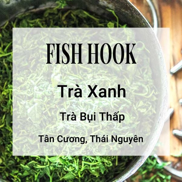 Fish Hook Trà Xanh Banner