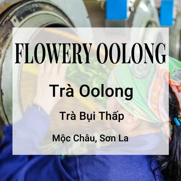 Flowery Oolong Trà Oolong Banner