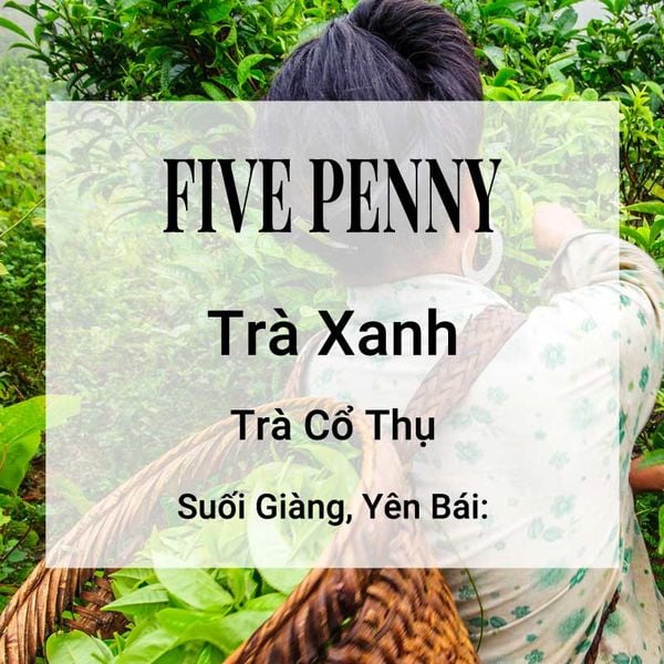 Five Penny Trà Xanh Banner