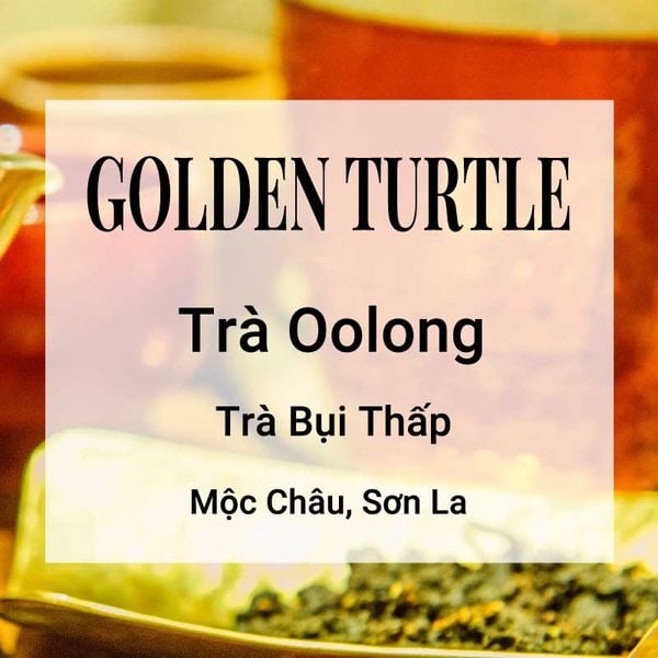 Golden Turtle Trà Oolong Banner