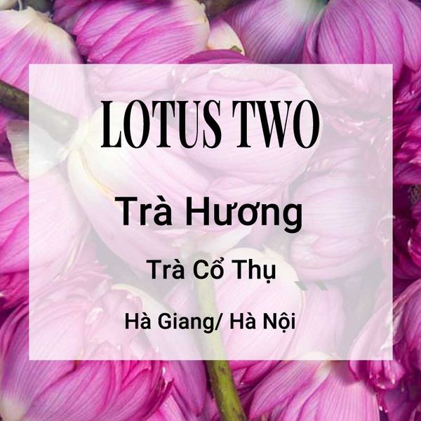 Lotus Two Trà Sen Banner