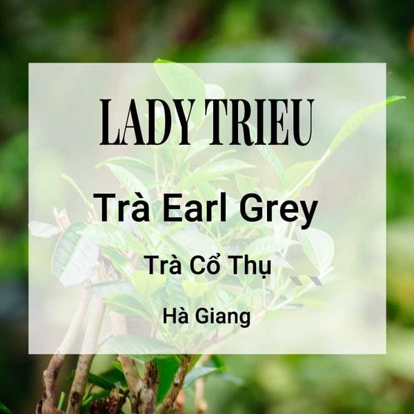 Lady Trieu Trà Hương Earl Grey Banner