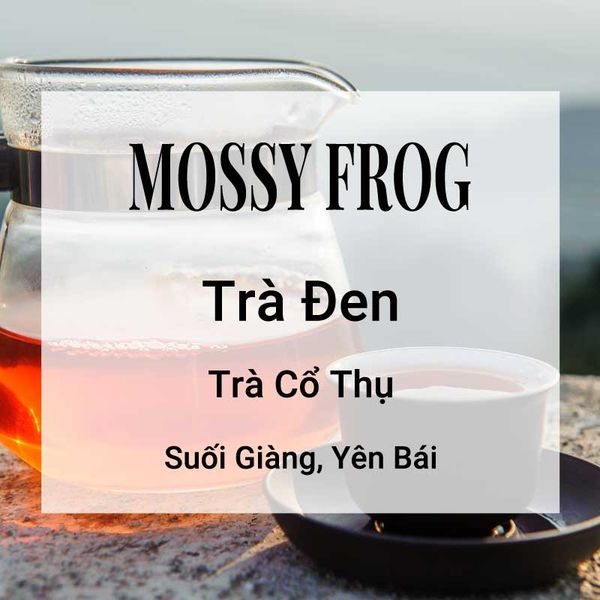  Trà Đen Mossy Frog 