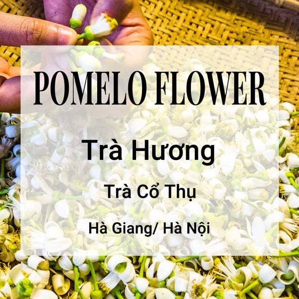 Pomelo Flower Trà Hoa Bưởi Banner
