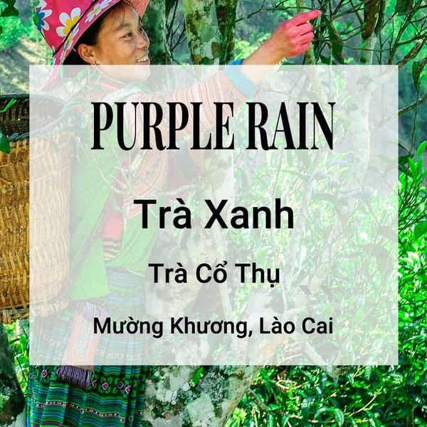 Purple Rain Trà Xanh Banner