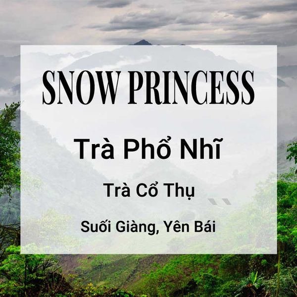 Snow Princess Trà Phổ Nhĩ Banner