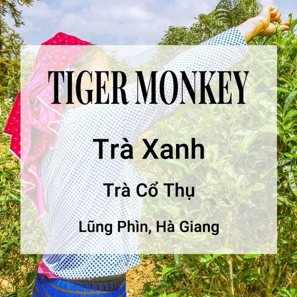 Tiger Monkey Trà Xanh Banner